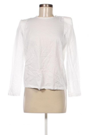 Damen Shirt Massimo Dutti, Größe XS, Farbe Weiß, Preis € 20,04