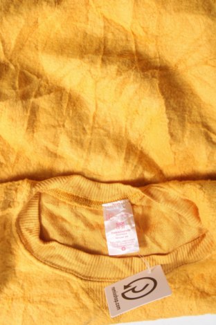 Γυναικεία μπλούζα No Boundaries, Μέγεθος S, Χρώμα Κίτρινο, Τιμή 1,76 €