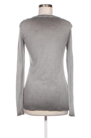 Γυναικεία μπλούζα Peckott, Μέγεθος M, Χρώμα Γκρί, Τιμή 1,88 €