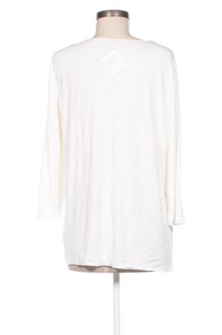 Γυναικεία μπλούζα Peter Hahn, Μέγεθος XL, Χρώμα Εκρού, Τιμή 22,27 €