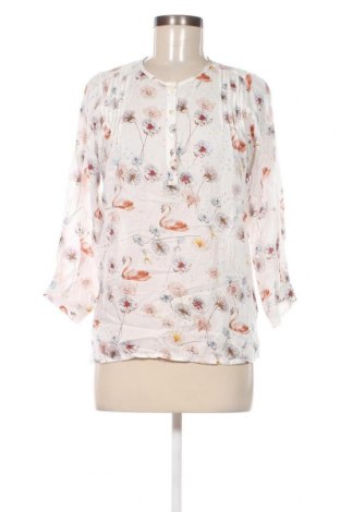Damen Shirt Plus Fine, Größe XS, Farbe Mehrfarbig, Preis 5,36 €