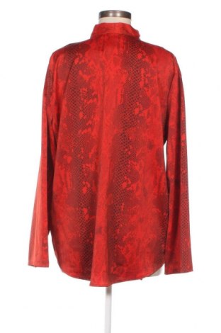 Γυναικεία μπλούζα Saint Tropez, Μέγεθος XL, Χρώμα Πολύχρωμο, Τιμή 8,41 €
