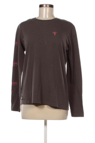 Damen Shirt Superdry, Größe M, Farbe Grün, Preis € 11,18