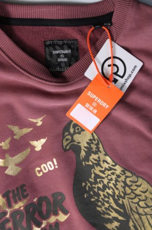 Damen Shirt Superdry, Größe M, Farbe Aschrosa, Preis 18,04 €
