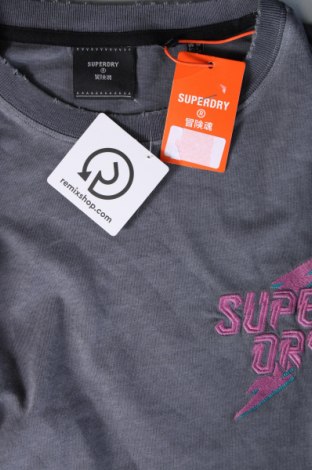 Damen Shirt Superdry, Größe M, Farbe Grau, Preis 18,04 €