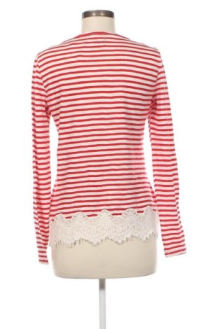 Γυναικεία μπλούζα Superdry, Μέγεθος M, Χρώμα Κόκκινο, Τιμή 13,57 €