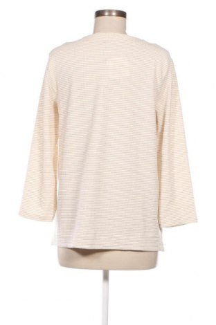 Γυναικεία μπλούζα Sure, Μέγεθος L, Χρώμα Πολύχρωμο, Τιμή 2,35 €