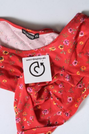 Γυναικεία μπλούζα Terranova, Μέγεθος XS, Χρώμα Πολύχρωμο, Τιμή 3,89 €