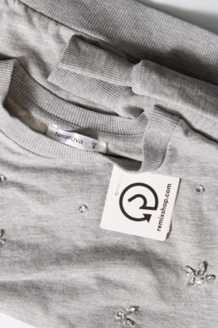 Γυναικεία μπλούζα Terranova, Μέγεθος S, Χρώμα Γκρί, Τιμή 4,70 €
