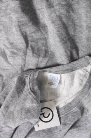 Γυναικεία μπλούζα Time and tru, Μέγεθος L, Χρώμα Γκρί, Τιμή 3,53 €
