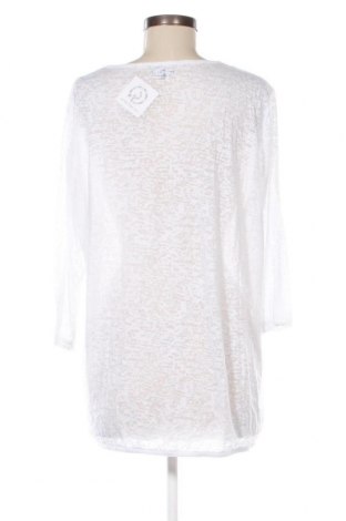 Γυναικεία μπλούζα Via Cortesa, Μέγεθος XL, Χρώμα Λευκό, Τιμή 11,75 €