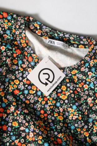 Damen Shirt Zara, Größe S, Farbe Mehrfarbig, Preis € 14,00