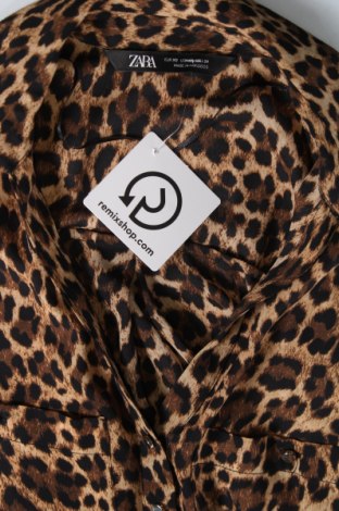 Γυναικεία μπλούζα Zara, Μέγεθος XS, Χρώμα  Μπέζ, Τιμή 18,00 €