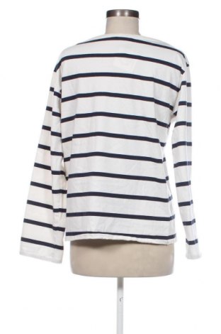 Damen Shirt Zara, Größe L, Farbe Weiß, Preis € 8,46
