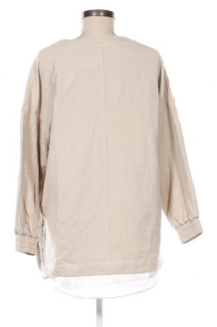 Γυναικεία μπλούζα Zara, Μέγεθος XS, Χρώμα  Μπέζ, Τιμή 16,70 €