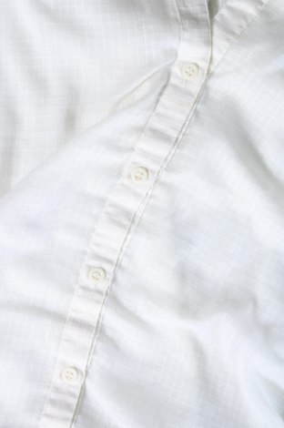 Γυναικείο πουκάμισο, Μέγεθος L, Χρώμα Εκρού, Τιμή 12,79 €
