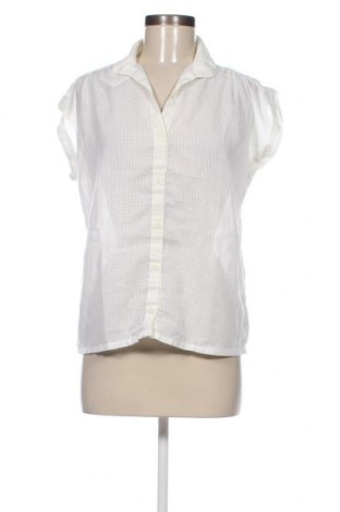 Γυναικείο πουκάμισο, Μέγεθος L, Χρώμα Εκρού, Τιμή 12,79 €