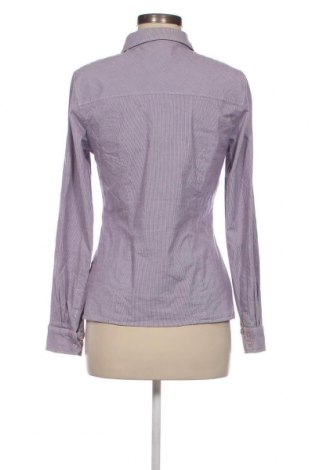 Γυναικείο πουκάμισο Betty Barclay, Μέγεθος M, Χρώμα Βιολετί, Τιμή 8,31 €
