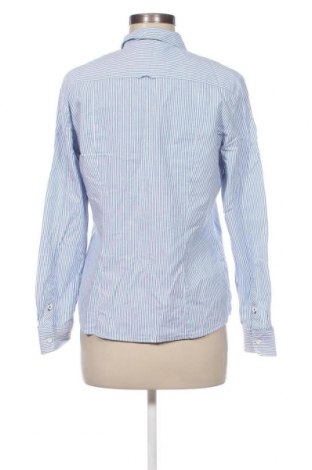 Γυναικείο πουκάμισο Betty Barclay, Μέγεθος M, Χρώμα Πολύχρωμο, Τιμή 13,50 €