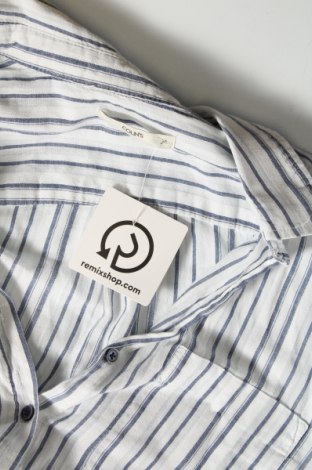 Γυναικείο πουκάμισο Colins, Μέγεθος M, Χρώμα Πολύχρωμο, Τιμή 6,00 €