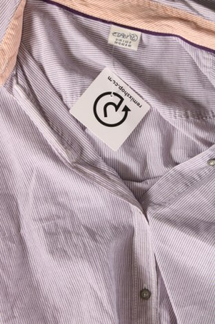 Γυναικείο πουκάμισο Esprit, Μέγεθος M, Χρώμα Βιολετί, Τιμή 8,67 €