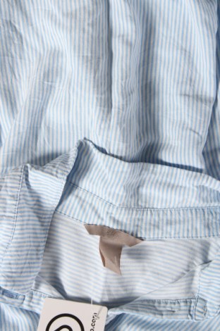 Γυναικείο πουκάμισο H&M, Μέγεθος 3XL, Χρώμα Μπλέ, Τιμή 7,87 €