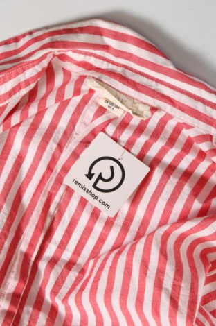 Γυναικείο πουκάμισο H&M L.O.G.G., Μέγεθος S, Χρώμα Πολύχρωμο, Τιμή 12,79 €