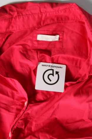 Дамска риза Jake*s, Размер XL, Цвят Розов, Цена 15,30 лв.