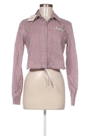 Γυναικείο πουκάμισο Liu Jo, Μέγεθος L, Χρώμα Πολύχρωμο, Τιμή 57,76 €