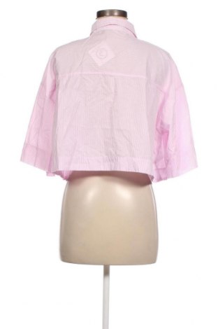 Damenbluse Zara, Größe L, Farbe Rosa, Preis 13,81 €