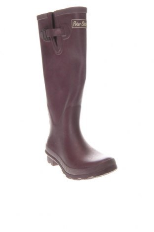 Γυναικείες μπότες Peter Storm, Μέγεθος 35, Χρώμα Βιολετί, Τιμή 8,95 €