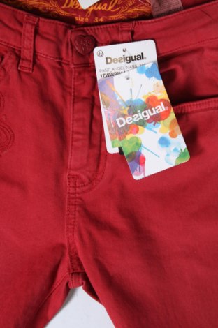 Damen Jeans Desigual, Größe XS, Farbe Rot, Preis € 61,61