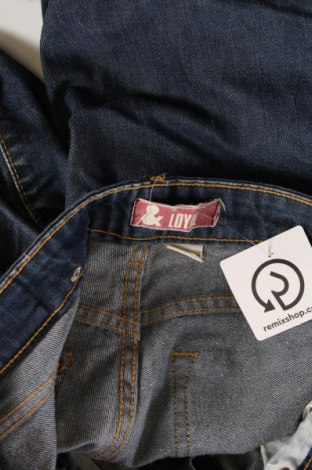 Damen Jeans H&M, Größe L, Farbe Blau, Preis € 15,00
