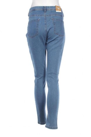Damen Jeans Oviesse, Größe XL, Farbe Blau, Preis € 23,71