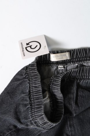 Dámske džínsy  Signature, Veľkosť XL, Farba Modrá, Cena  4,93 €