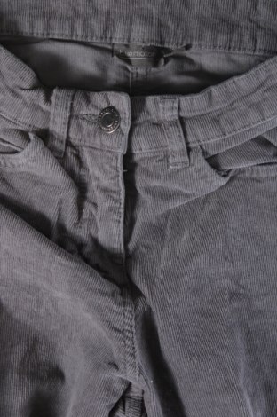 Pantaloni de velvet de femei Blue Motion, Mărime S, Culoare Gri, Preț 25,76 Lei
