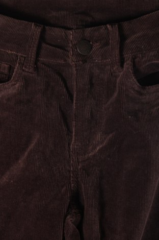 Γυναικείο κοτλέ παντελόνι Floyd, Μέγεθος XXS, Χρώμα Καφέ, Τιμή 5,07 €