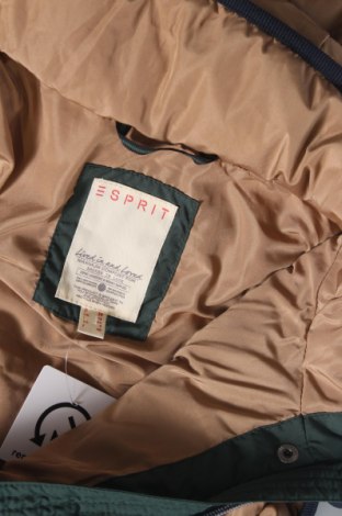 Dámska vesta  Esprit, Veľkosť M, Farba Zelená, Cena  30,05 €