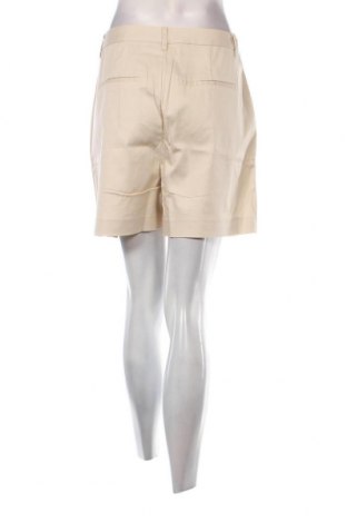 Damen Shorts Maison Scotch, Größe M, Farbe Beige, Preis 26,34 €