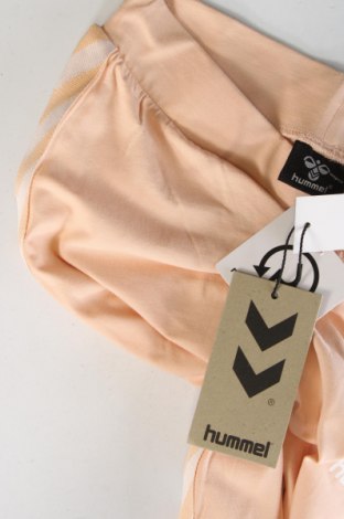 Damen Leggings Hummel, Größe XS, Farbe Orange, Preis € 8,63