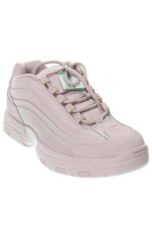 Damenschuhe DC Shoes, Größe 41, Farbe Lila, Preis 41,86 €