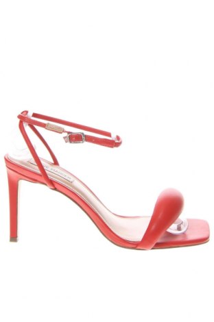 Γυναικεία παπούτσια Steve Madden, Μέγεθος 40, Χρώμα Κόκκινο, Τιμή 94,63 €