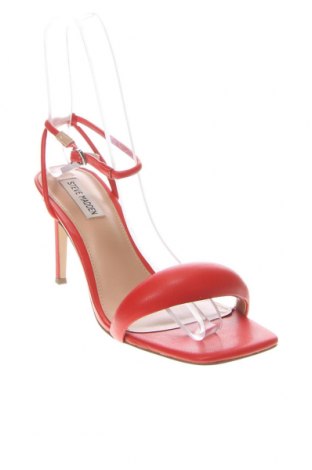 Γυναικεία παπούτσια Steve Madden, Μέγεθος 40, Χρώμα Κόκκινο, Τιμή 94,63 €