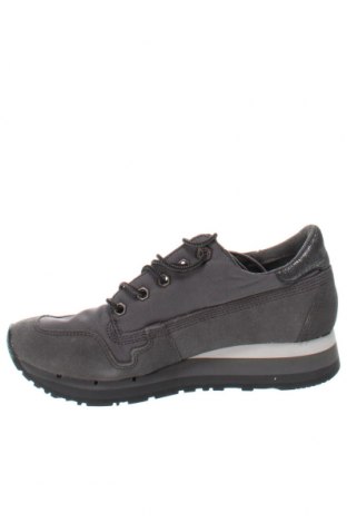 Γυναικεία παπούτσια Timberland, Μέγεθος 36, Χρώμα Γκρί, Τιμή 40,95 €