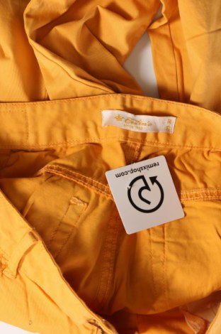 Дамски панталон Colin's, Размер M, Цвят Оранжев, Цена 17,41 лв.