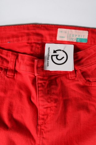 Дамски панталон Esprit, Размер XL, Цвят Червен, Цена 9,02 лв.