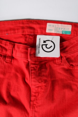 Damenhose Esprit, Größe XL, Farbe Rot, Preis € 6,28