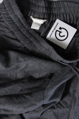 Damenhose H&M, Größe S, Farbe Grau, Preis 3,23 €