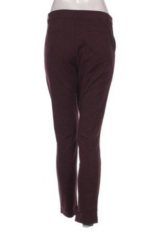 Damenhose Maison Scotch, Größe S, Farbe Rot, Preis € 9,99