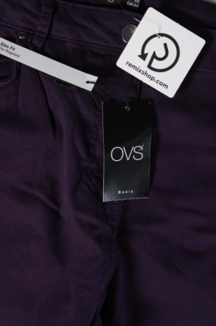 Damenhose Oviesse, Größe XL, Farbe Lila, Preis € 10,91